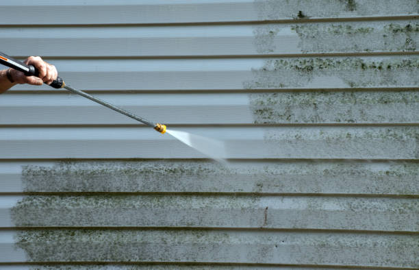 Best Local Pressure Washing Services  in Perry, MI